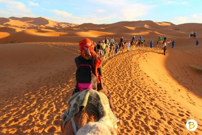 Deserti del mondo
