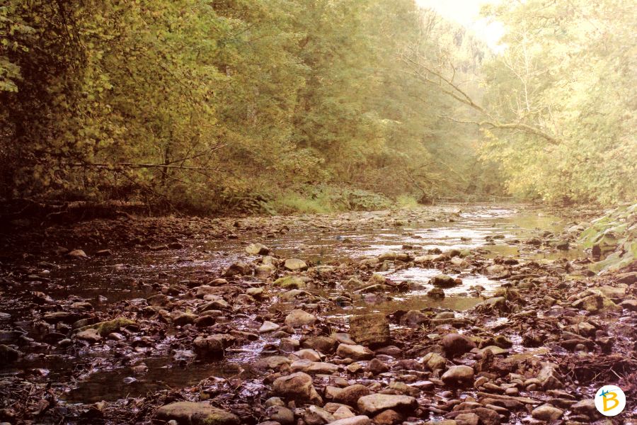 Wutachschlucht Wutachschlucht